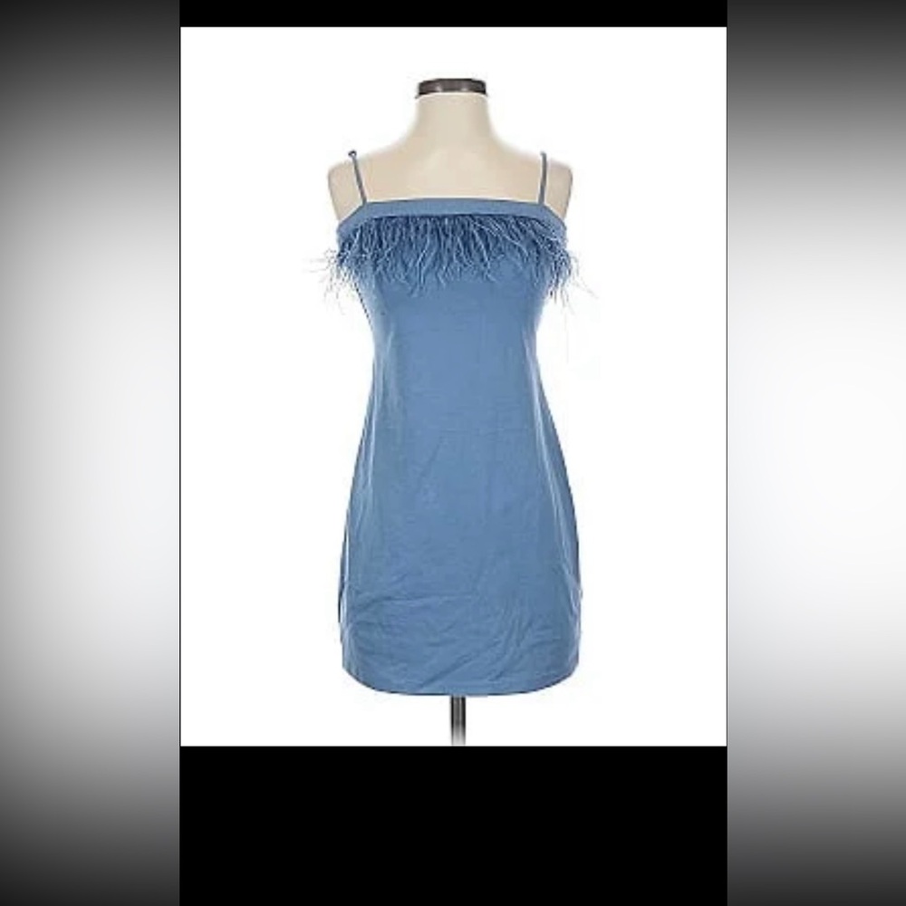 Wild Fable Elegant Blue Feather-Trim Dress